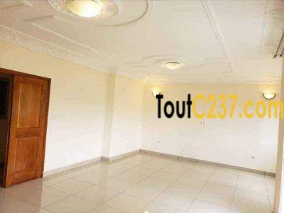 Appartement vip à louer à Bonamoussadi
