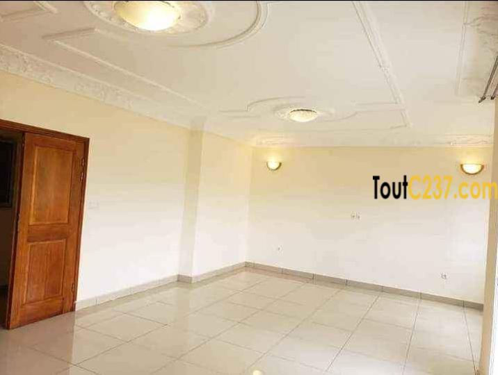 Appartement vip à louer à Bonamoussadi