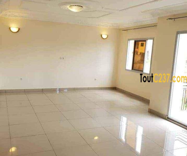 Appartement vip à louer à Bonamoussadi