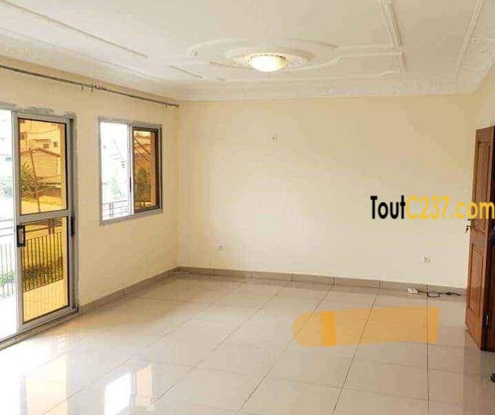 Appartement vip à louer à Bonamoussadi