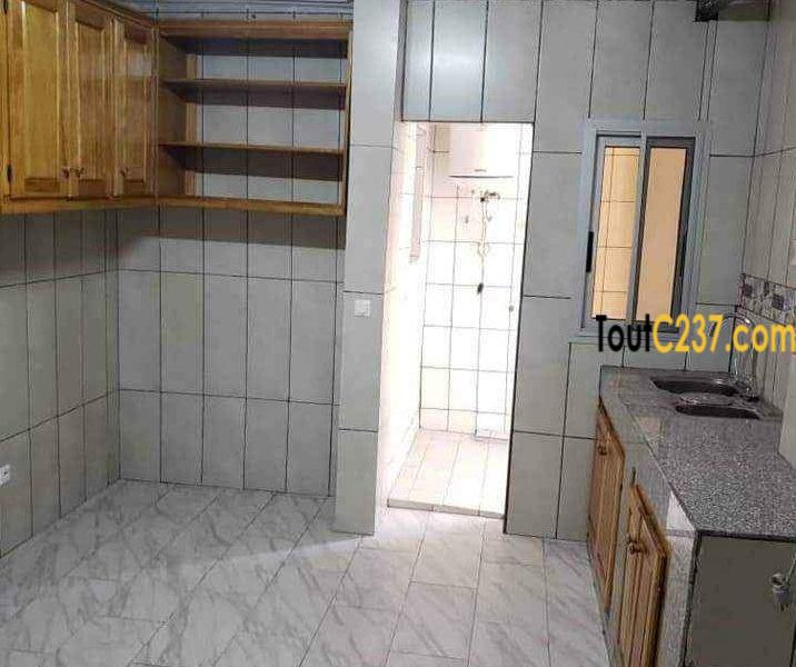 Appartement vip à louer à Bonamoussadi
