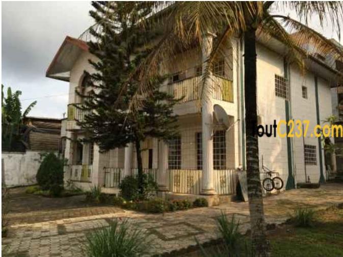 Duplex à vendre à Logpom Douala