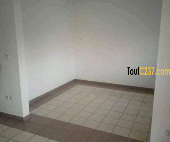 Appartement à louer à Bonapriso Douala