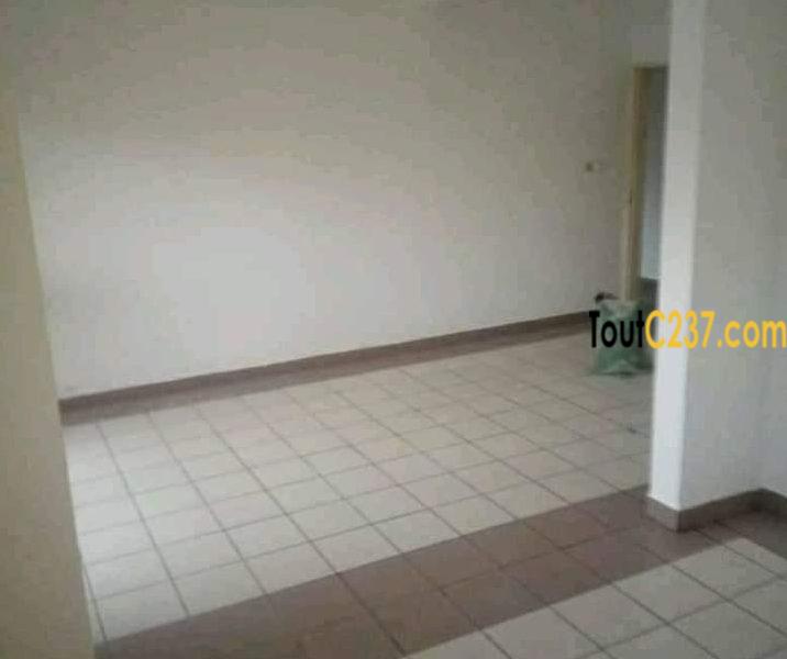 Appartement à louer à Bonapriso Douala