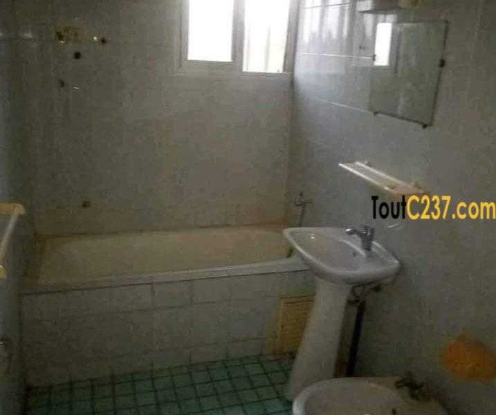 Appartement à louer à Bonapriso Douala