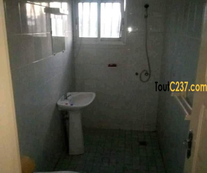 Appartement à louer à Bonapriso Douala