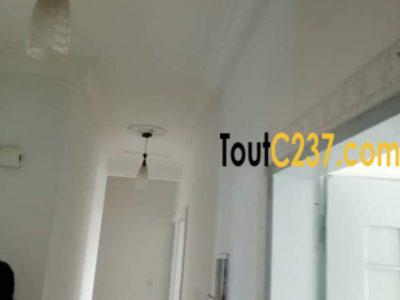 Appartement à louer à Bonamoussadi