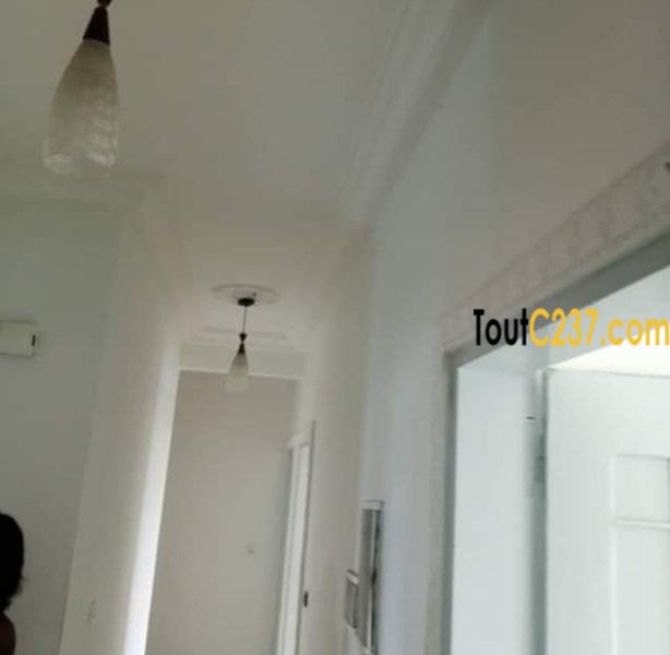 Appartement à louer à Bonamoussadi