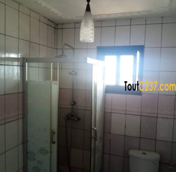 Appartement à louer à Bonamoussadi