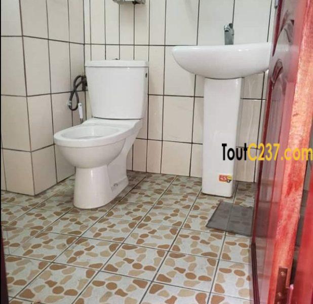 Appartement à louer à Bonamoussadi Douala