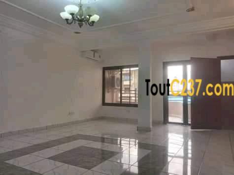 Appartement neuf à louer à Bonapriso