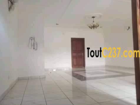 Appartement neuf à louer à Bonapriso