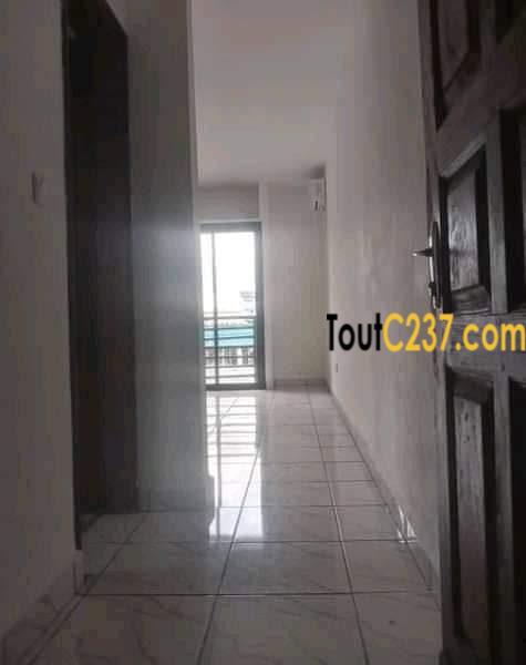 Appartement neuf à louer à Bonapriso