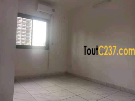 Appartement neuf à louer à Bonapriso