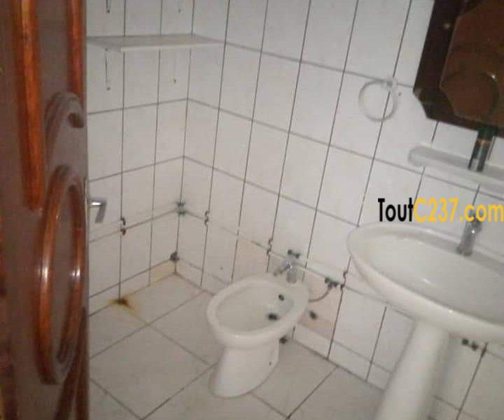 Vaste Studio Moderne à louer à Bonapriso