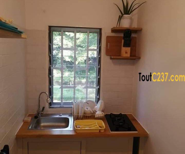 Studio Meublé à Louer à Bonanjo