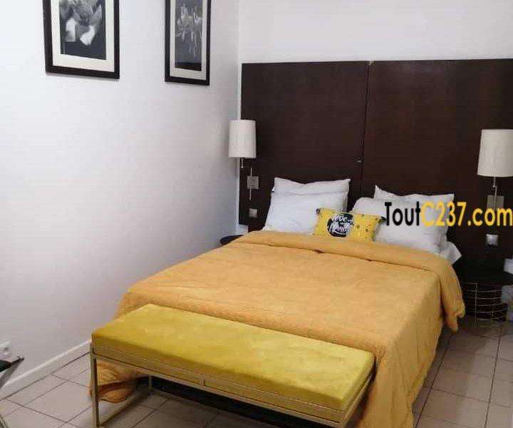 Studio Meublé à Louer à Bonanjo