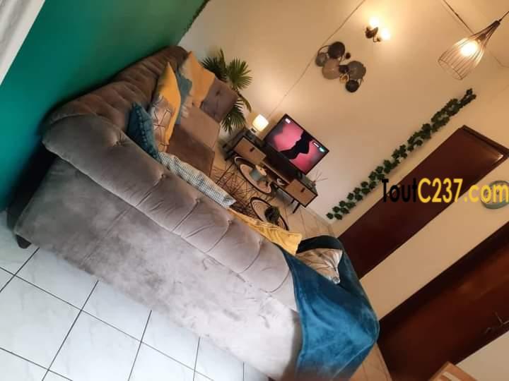 Studio Meublé à Louer à Bonanjo