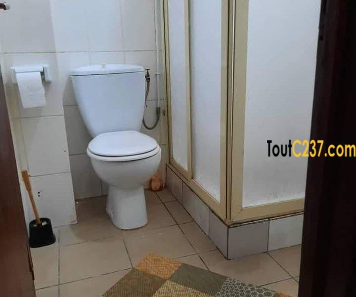 Studio Meublé à Louer à Bonanjo