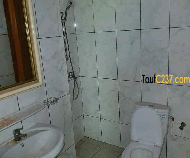 Appartement à louer à Bonamoussadi Doualaa