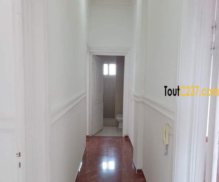 Appartement vip à louer à Bonanjo Douala