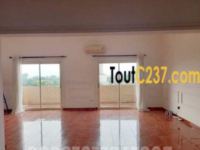 Appartement vip à louer à Bonanjo Douala