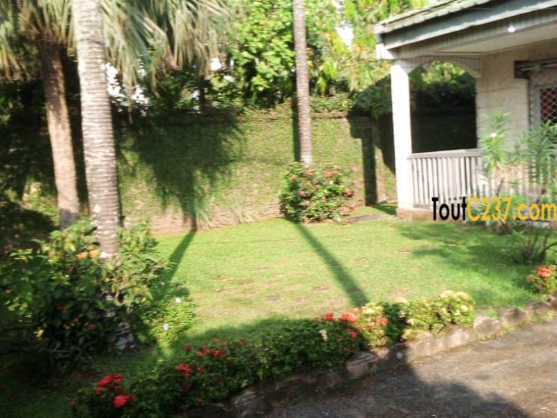 Maison à louer à Bonamoussadi Douala