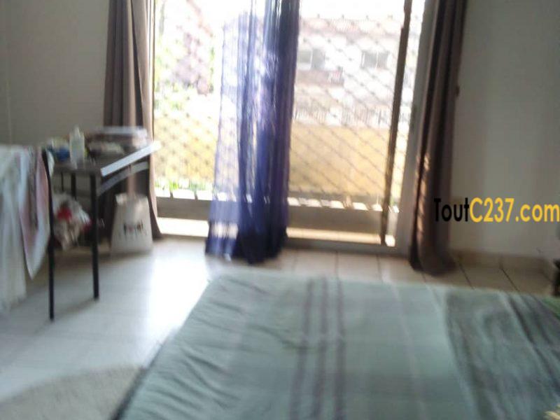 Maison à louer à Bonamoussadi Douala