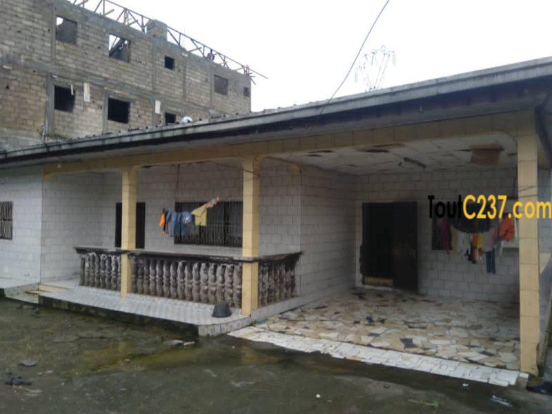Maison à vendre à Logbaba Douala