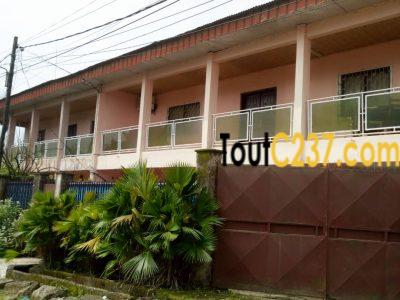 2 Maisons à vendre à Ndogbong Douala