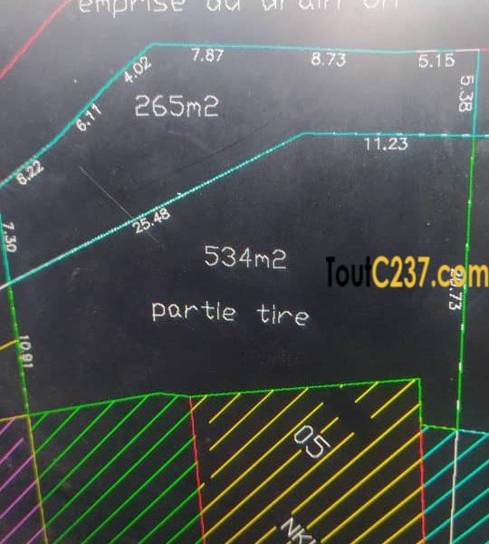 Urgence: Terrain à vendre à Yassa Cité chirac