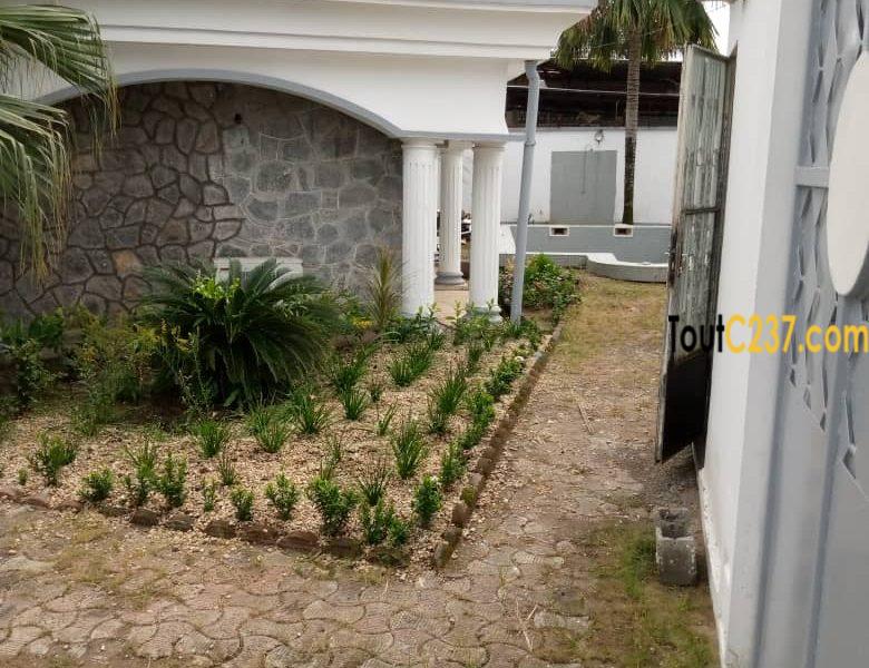 Maison à louer à Bonapriso Douala
