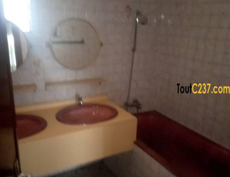 Duplex à louer à Bonapriso Douala
