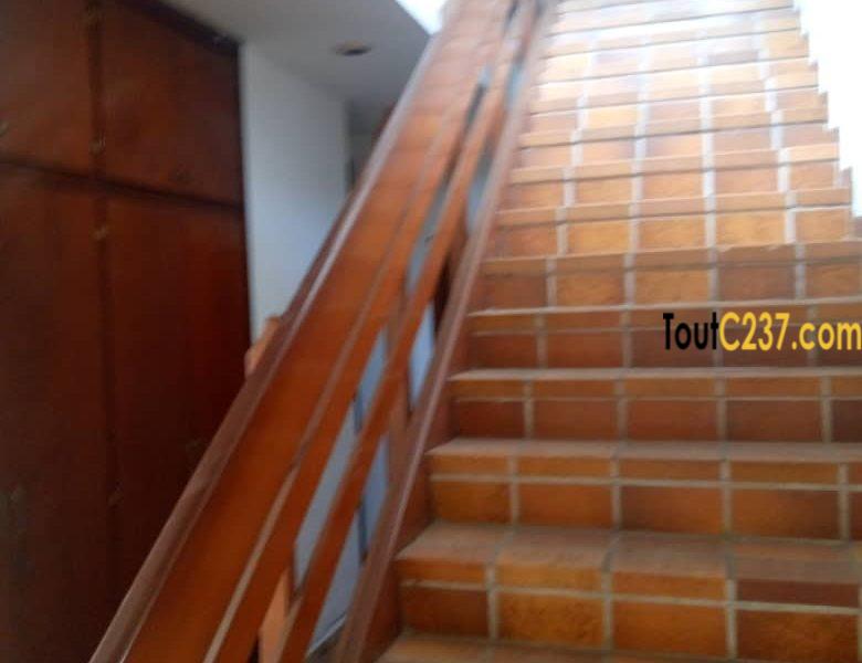 Duplex à louer à Bonapriso Douala