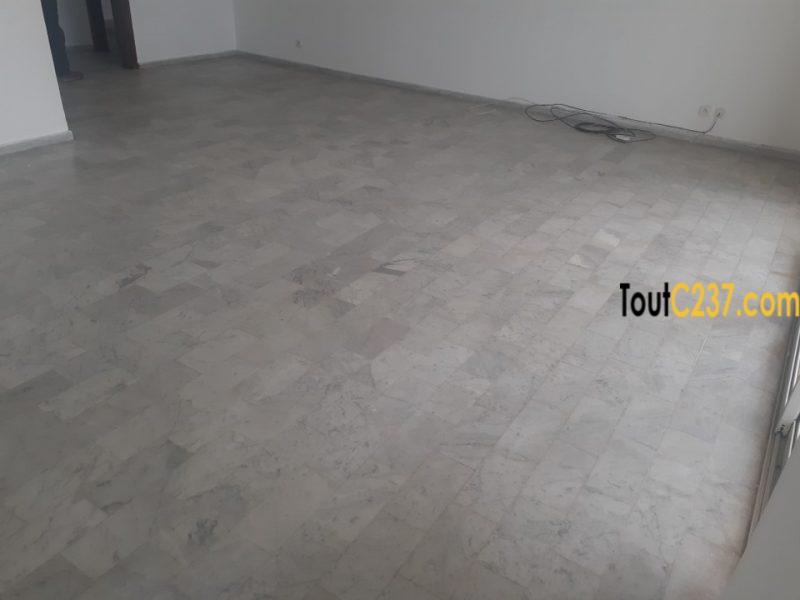 Appartement à louer à Bonapriso