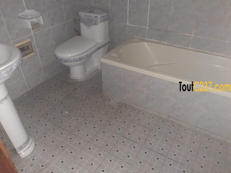Appartement à louer à Bonapriso