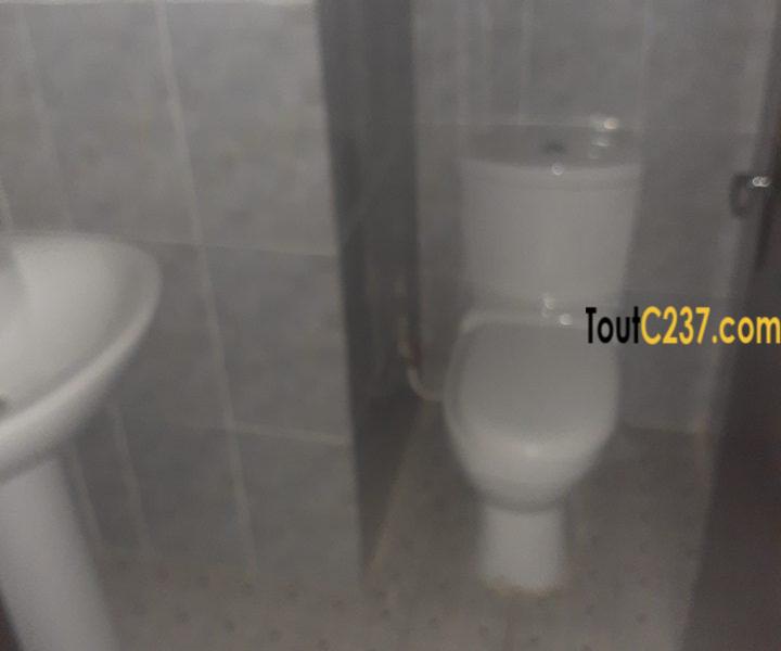 Appartement à louer à Bonapriso