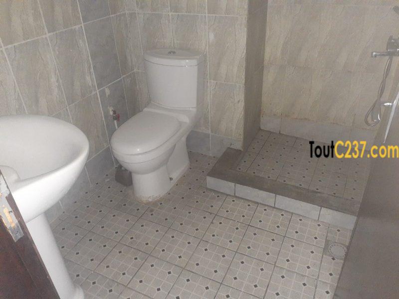 Appartement à louer à Bonapriso