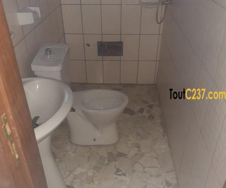 Appartement à louer à Bonamoussadi Douala