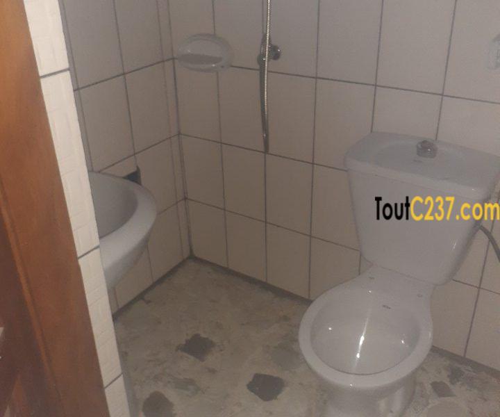 Appartement à louer à Bonamoussadi Douala