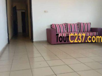 Appartement à louer à Bonamoussadi