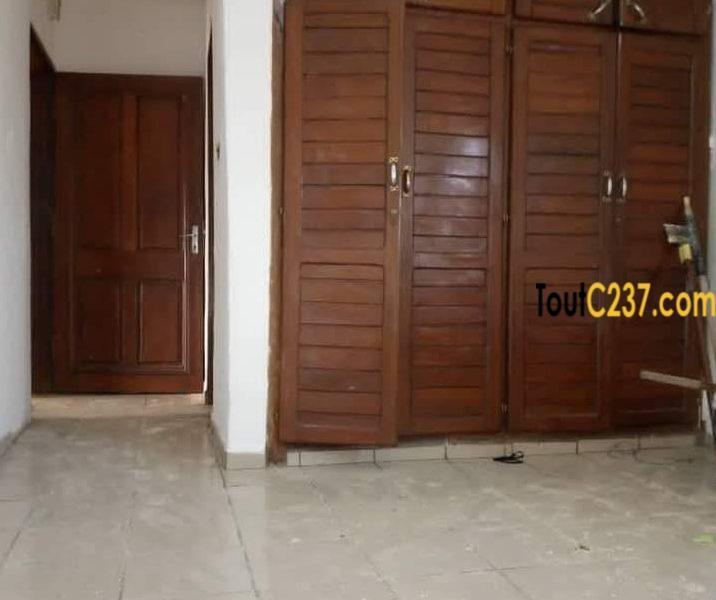 Appartement à louer à Bonamoussadi