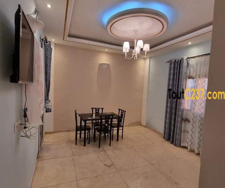 Studio Neuf à louer à Bonapriso