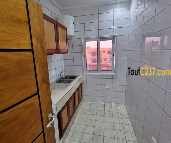 Studio Neuf à louer à Bonapriso