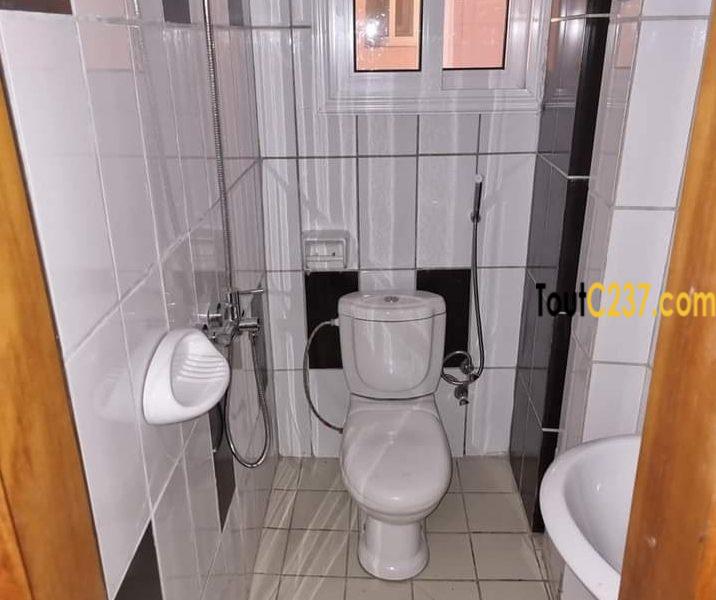 Studio Neuf à louer à Bonapriso