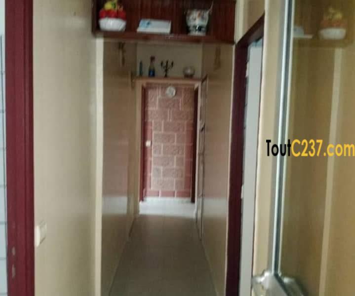 Villa meublée à louer à Bonamoussadi