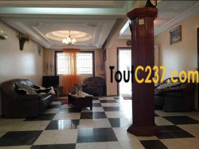 Villa meublée à louer à Bonamoussadi