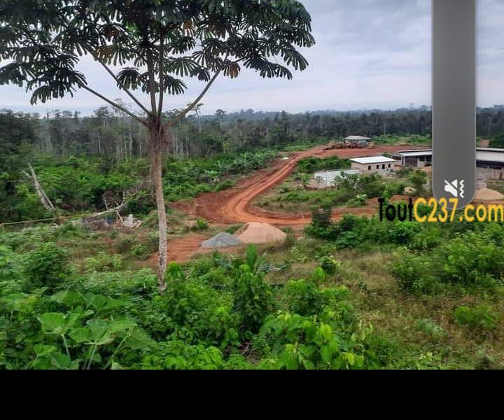 Terrain à vendre à Pk17 Douala