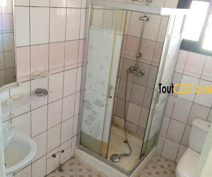Appartement à louer à Bonamoussadi Douala