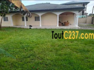 Maison villa à vendre à Logpom Douala